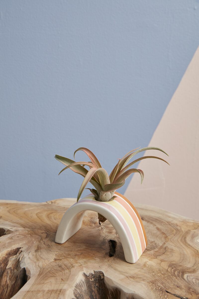 Ceramic Hope Tillandsia Holder