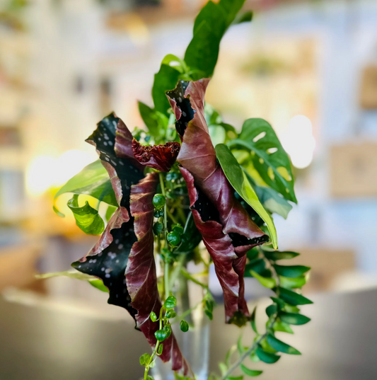 Custom Clipping Bouquet