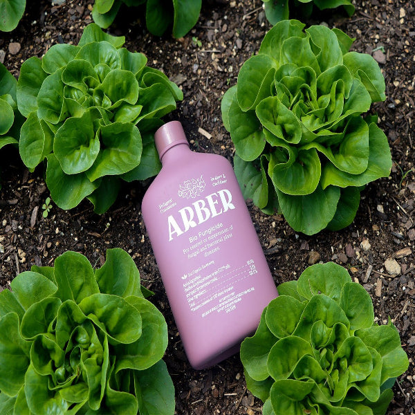 Bio Fungicide - Arber