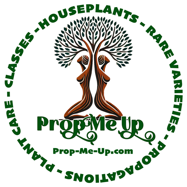 Prop Me Up - Plants Delivered To You
